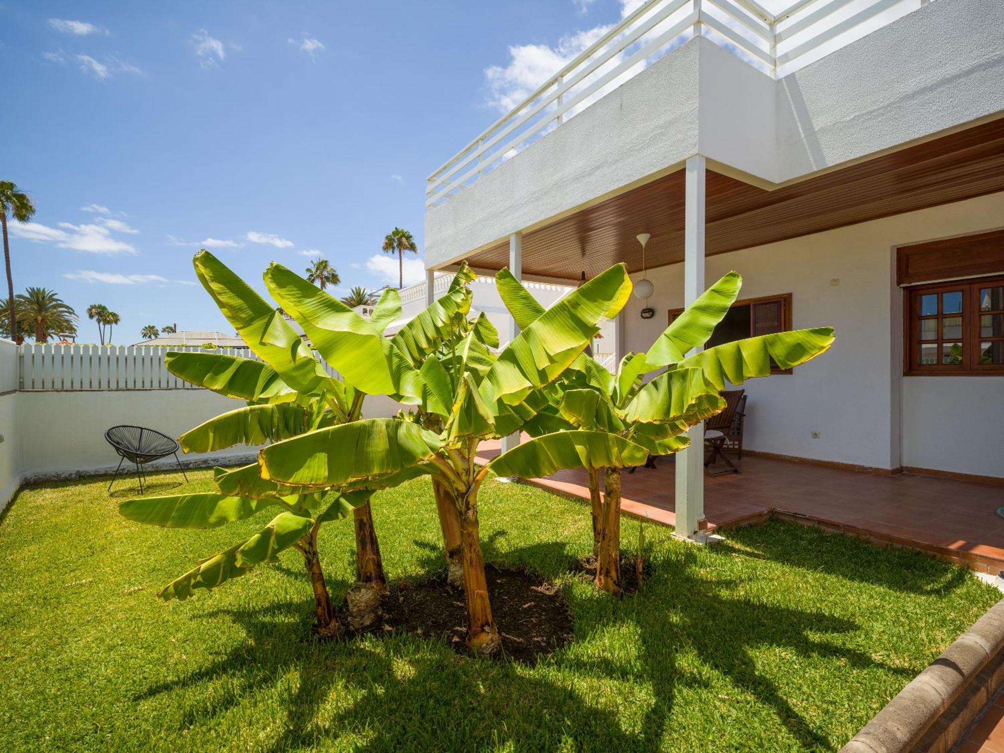 Banana House In Top Location By Tenpropertiesgc マスパロマス エクステリア 写真